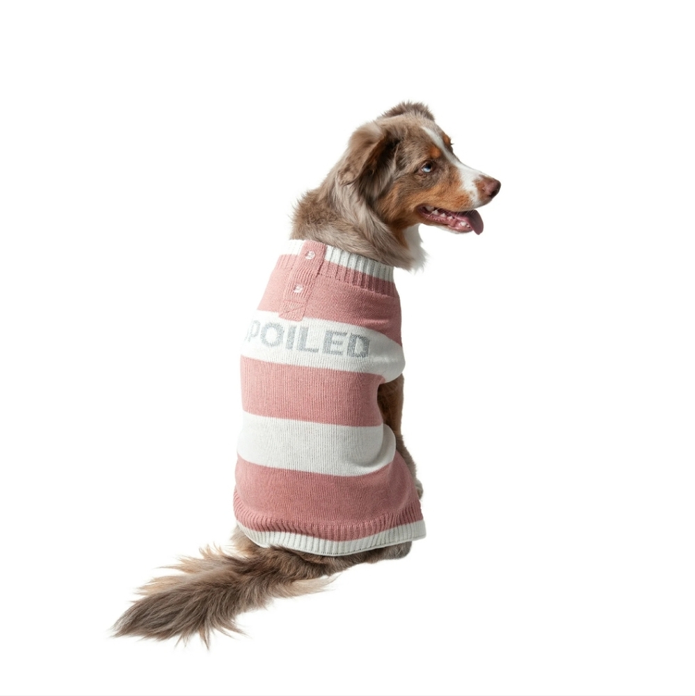 Vibrant Life Pet Sweater with the word SPOILED on it